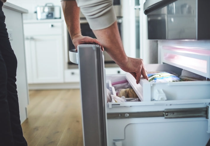 Denmark Refrigerator